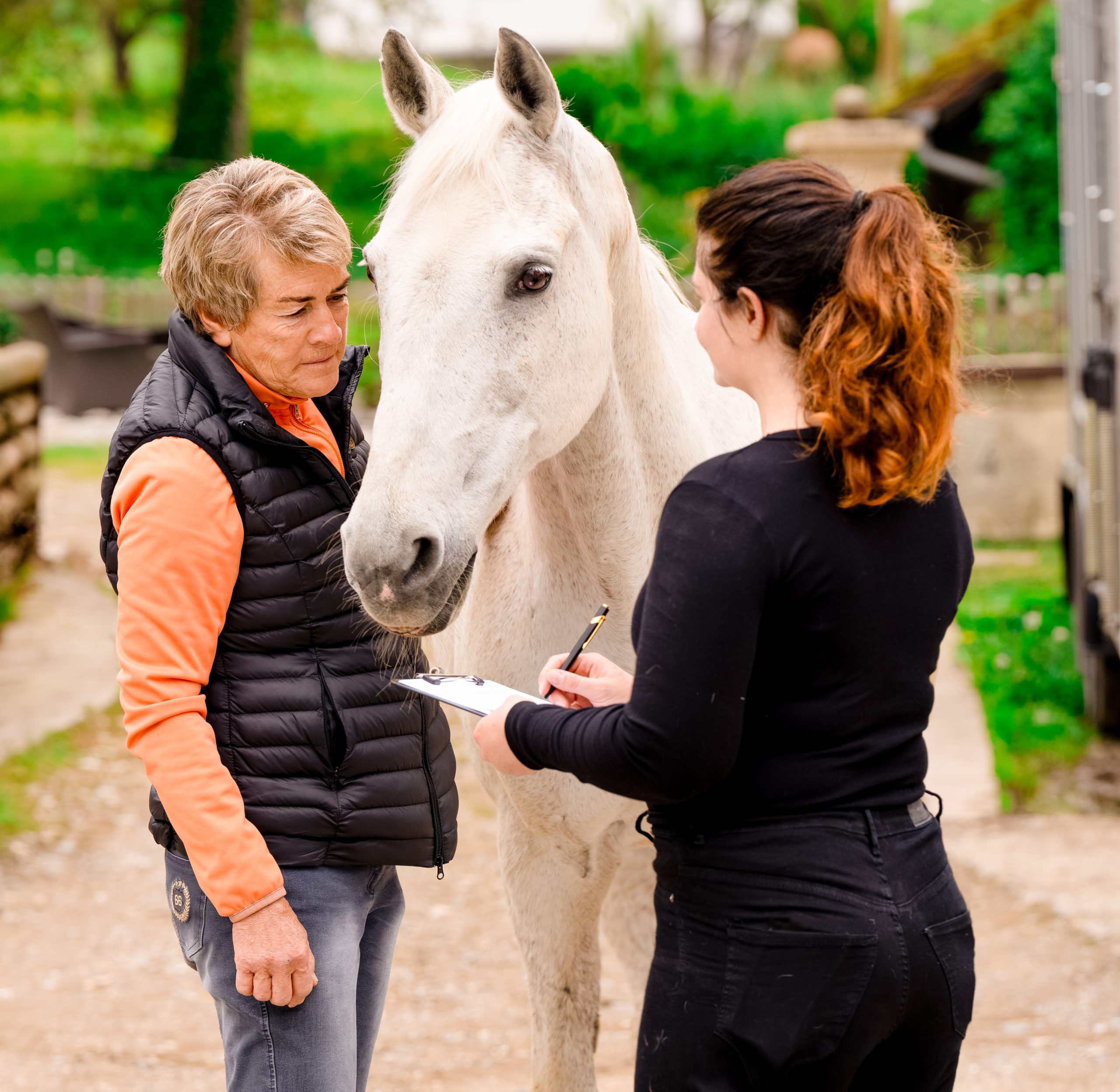 Pferdeosteopathie Evelyn Hatt